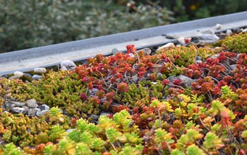 the cost of Orton Brimbles green roof installation