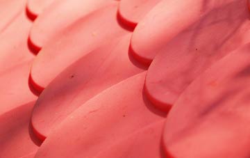 Orton Brimbles plastic roof costs