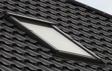 benefits of Orton Brimbles roof windows