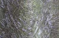 Orton Brimbles fibreglass roof work